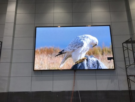 英山茶仙-P2.5-11.46㎡