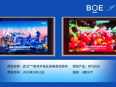 武漢**技術(shù)開(kāi)發(fā)區(qū)1樓大廳BTQ018安裝調(diào)試完畢