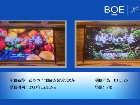 武漢市***酒店3樓BTQ025安裝調(diào)試完畢