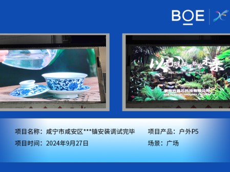 咸寧市咸安區(qū)***鎮(zhèn)安裝調試完畢