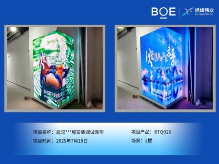 武漢***城安裝調(diào)試完畢