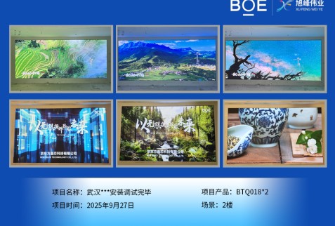 武漢***安裝調(diào)試完畢